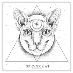 Modern magic witchcraft card with  sphynx cat and all-seeing eye. Realistic hand drawing sphynx cat head