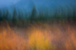 © Paco Farero/ADDICTIVE STOCK - Blurred yellow and green autumn forest against dark blue sky for natural abstract background