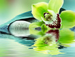 spa de orquídeas y piedras en agua