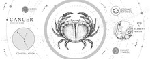 Modern Magic Witchcraft Card With Astrology Cancer Zodiac Sign. Realistic Hand Drawing Crab Illustration. Zodiac Characteristic