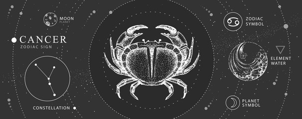 Modern magic witchcraft card with astrology Cancer zodiac sign. Realistic hand drawing crab illustration. Zodiac characteristic