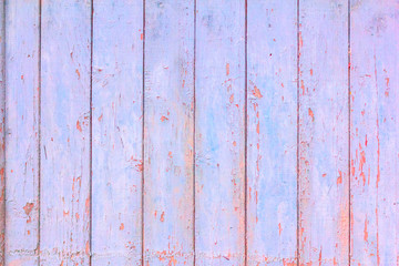 Wall Mural - Old wooden background. Cracked wood planks painted in pastel color.