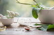 homeopathic granules, medicinal herbs on a natural wooden table on a natural background. alternative medicine and homeopathy