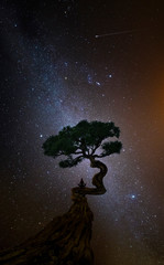 Wall Mural - Yoga woman under a tree in front of the universe