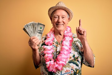 Grey haired senior man wearing summer hat and hawaiian lei holding bunch of dollars surprised with an idea or question pointing finger with happy face, number one