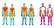 Set of cartoon body warmth thermogram man and woman vector flat illustration. Collection of couple infrared thermography isolated on white. Temperature torso area of bright spectrum human