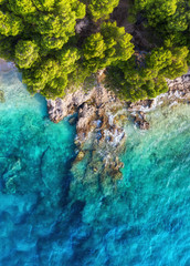 Wall Mural - croatia. coast as a background from top view. turquoise water background from drone. summer seascape