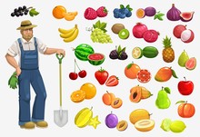 Fruits, Berries And Farmer, Vector Food Of Gardening And Farming. Apple, Strawberry, Orange And Cherry, Mango, Papaya, Lemon And Banana, Blueberry, Pineapple, Peach And Watermelon, Lychee And Fig
