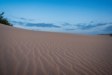  Ripples on sand dune near Corralejo with volcano mountains in the background, Fuerteventura, Canary Islands, Spain. October 2019