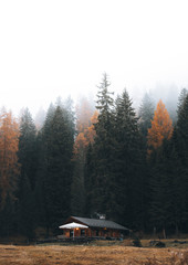 Wall Mural - hut by the forest