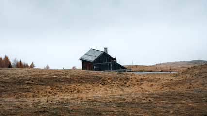 Wall Mural - cabin on a misty hill