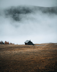 Wall Mural - cabin on a misty hill