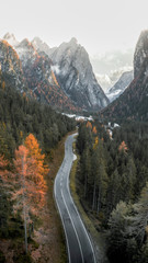 Wall Mural - road in dolomites valley mobile background