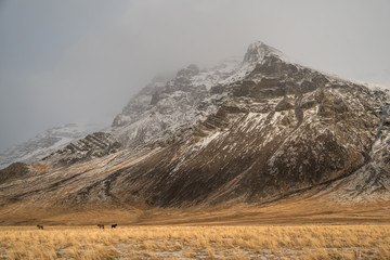 Mountain On Iceland 2