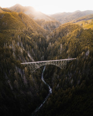 Wall Mural - landscape photo with bridge and forest