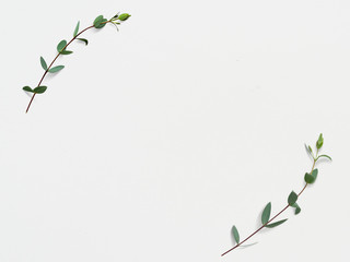 Wall Mural - simple nature border