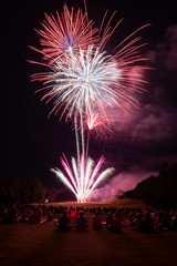 Crowd watching red white and blue fireworks celebration