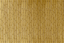 Gold Bamboo Curtain
