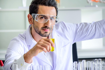 Wall Mural - attractive happiness scientist man lab technician assistant analyzing sample in test tube with micro