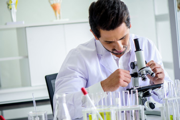 Wall Mural - attractive happiness scientist man lab technician assistant analyzing sample in test tube with micro
