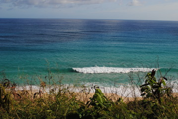 waves in Hawaii