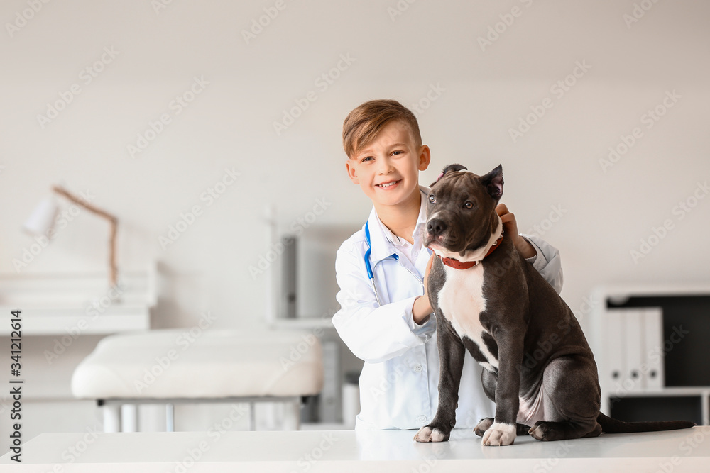 Little veterinarian examining cute dog in clinic