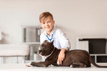 Poster - Little veterinarian examining cute dog in clinic