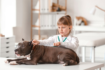 Sticker - Little veterinarian examining cute dog in clinic