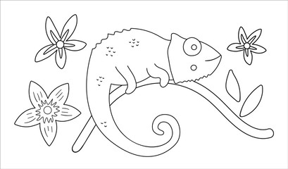 Vector cute chameleon on a tree brunch outline. Funny tropical exotic animal black and white illustration. Fun coloring page for children. Jungle summer clip art.