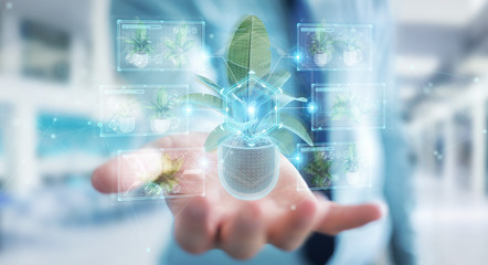 Fototapete - Man holding and touching holographic projection of a plant with digital analysis 3D rendering