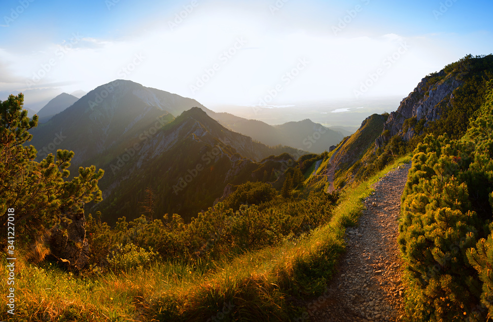 hiking trail at herzogstand mountain, evening in the bavarian alps - obrazy, fototapety, plakaty 