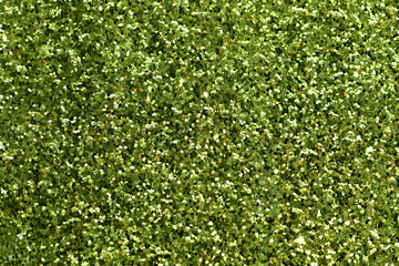 Wall Mural - shiny green glitter textured background