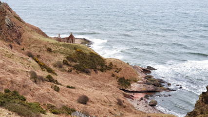 Wall Mural - Berwickshire Coastal Path from Berwick upon Tweed to Burnmouth - Scotland/England - UK