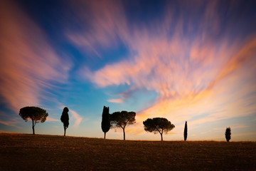 Wall Mural - row of cypress trees at sunset, dramatic sky, typical tuscan landscape with copy space