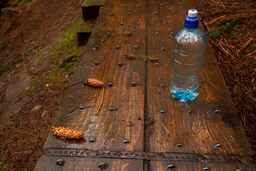 Still mineral water bottle standing on a wooden walk path in a forest park, pine cones, concept refreshment during outdoor walk.