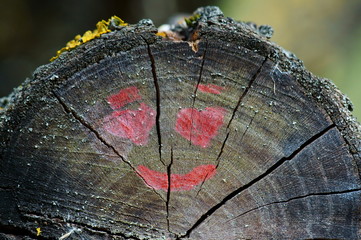 Canvas Print - Two hearts and a smile on the wooden surface.