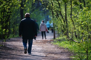 Canvas Print - walking in the park