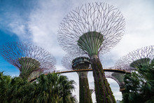 Singapore - February, 2020: Day View Of The Supertree Grove, Cloud Forest Flower Dome At Gardens By The Bay In Singapore. Spanning 101 Hectares, And Five-minute Walk From Bayfront MRT Station.