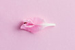 pastel flower petal, symbol of vulva, clitoris, vagina, erotic minimal concept, top view, flat lay