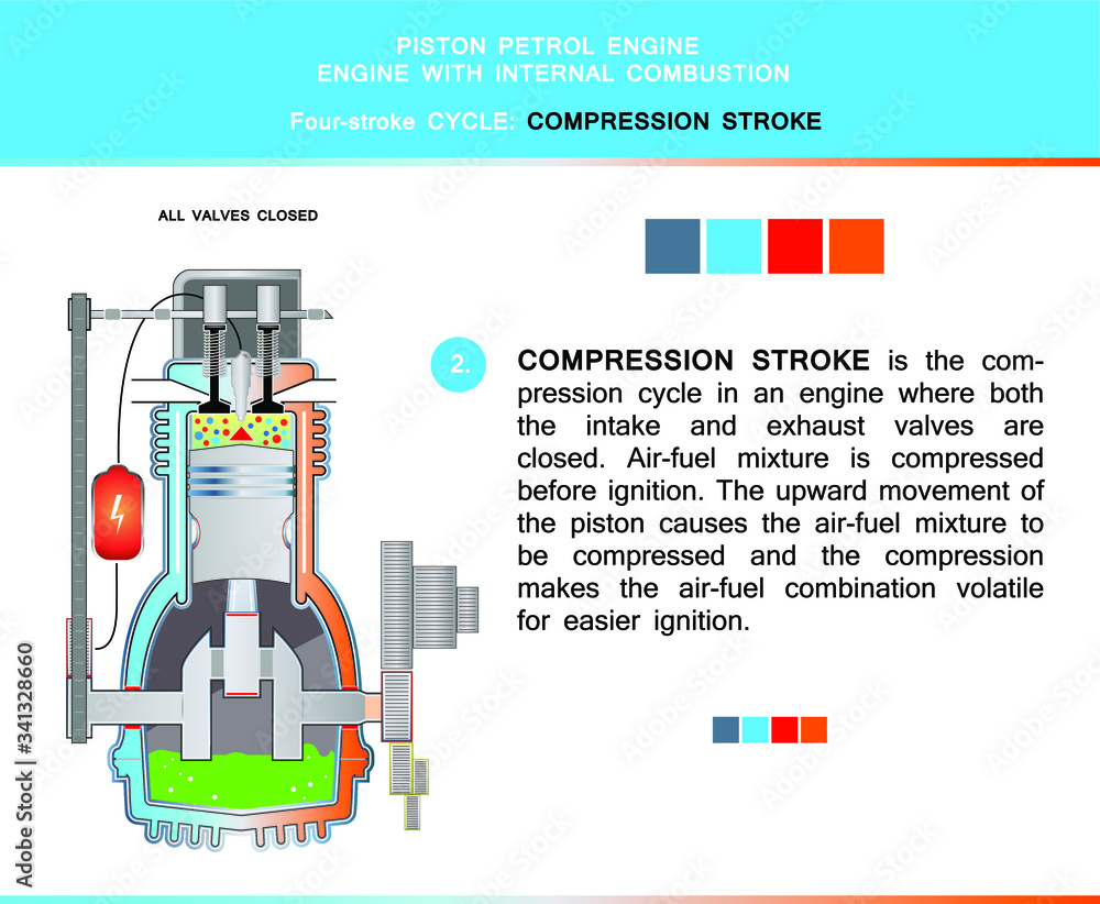 Piston engine four stroke cycle in structural cross section for ...