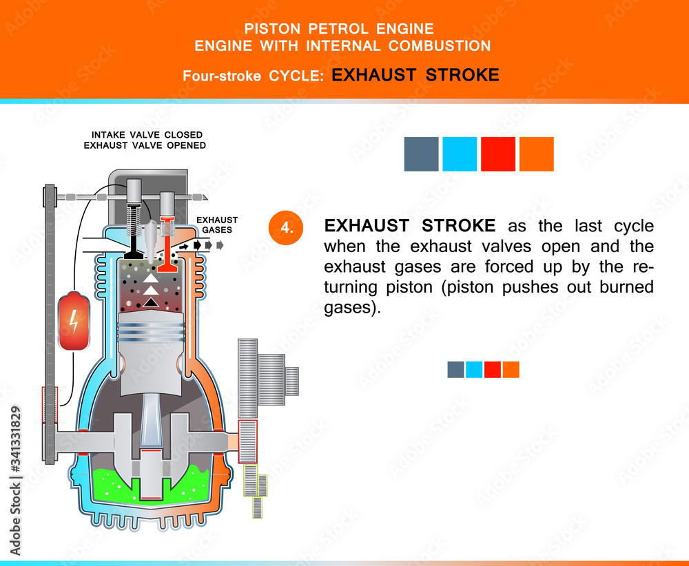 Piston engine four stroke cycle in structural cross section for ...