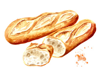 Fresh Baguette whole and cut in half, French bread. Hand drawn watercolor illustration, isolated on white background