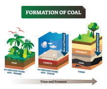 Formation Of Coal Vector Illustration. Labeled Educational Rock Birth Scheme