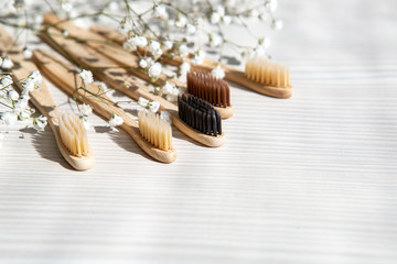 Natural bamboo toothbrushes on a white background