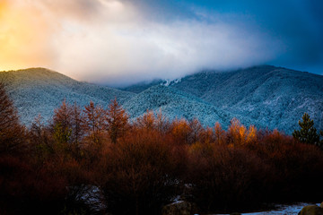 Canvas Print - sunrise trees foot of the mountains