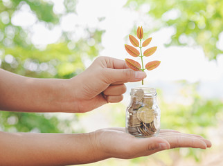 Human hands holding plant growing from coins in the glass jar on blurred green natural background,  investments growing up and saving concept