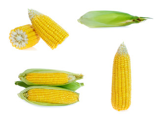 Corn collection isolated on white