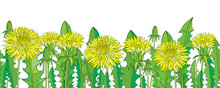 Horizontal Seamless Pattern With Outline Yellow Dandelion Flower, Bud And Green Leaves On The White Background.