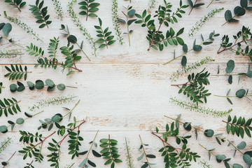 Wall Mural - Green Leaves Twigs On White Wooden Planks