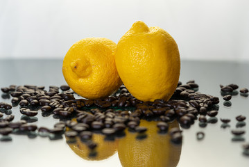 horizontal still life of two lemons on coffee beans.  White background with reflective surface. 